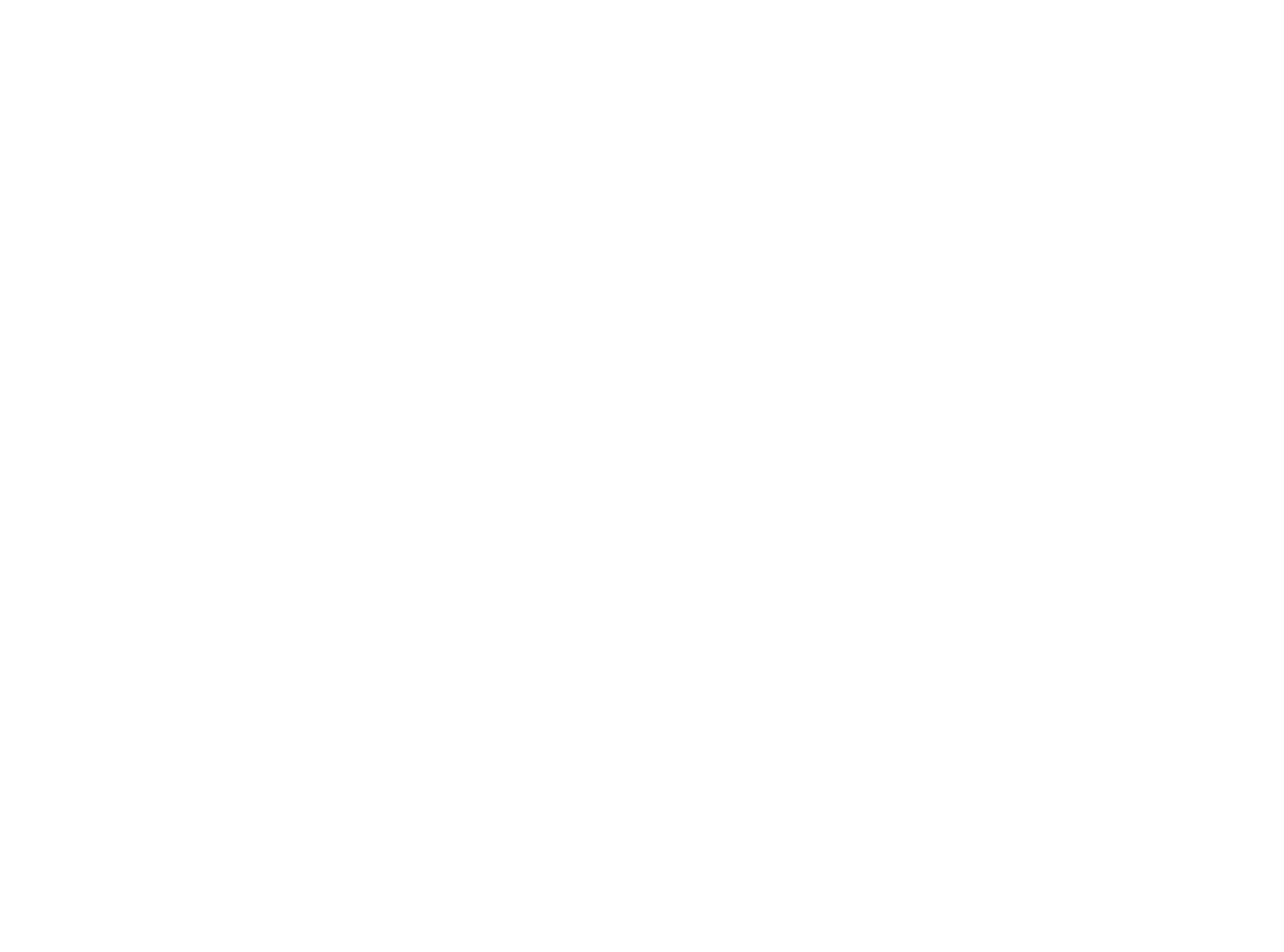 choos-in-blanc.webp